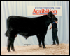 Ron Perry & Sam Houston at Agribition 1988