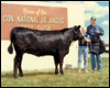 Kyle with his prize winning heifer at Bashaw 1988
